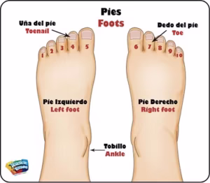 PIES PARA ENCAJAR